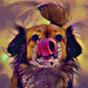 Meet your Posher, Michele